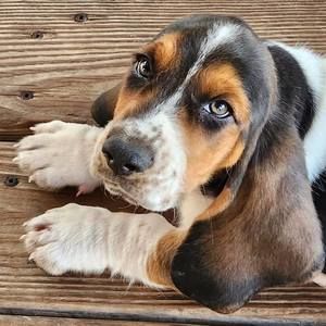 Meet your Posher, Suzanne